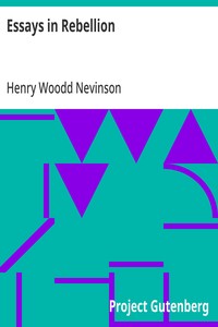 Cover of Essays in Rebellion — Key Ideas to Explore